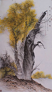 胡杨